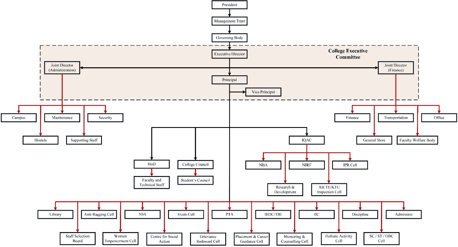 organogram